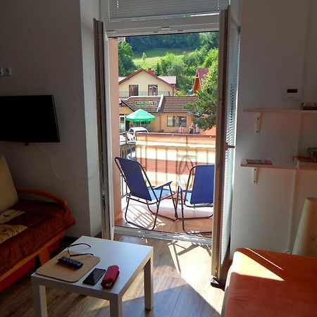 Apartament Kraszewskiego Krynica-Zdrój Extérieur photo